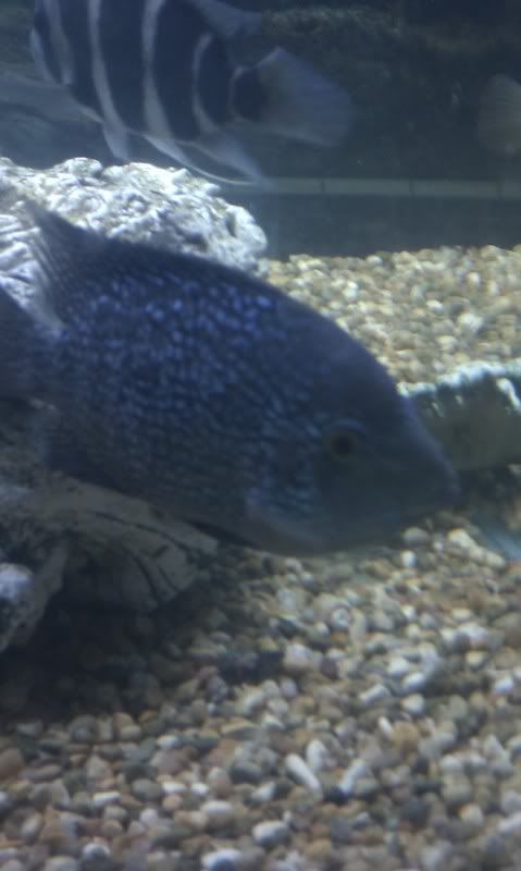 IMAG0524.jpg