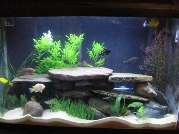 newtankpics1.jpg