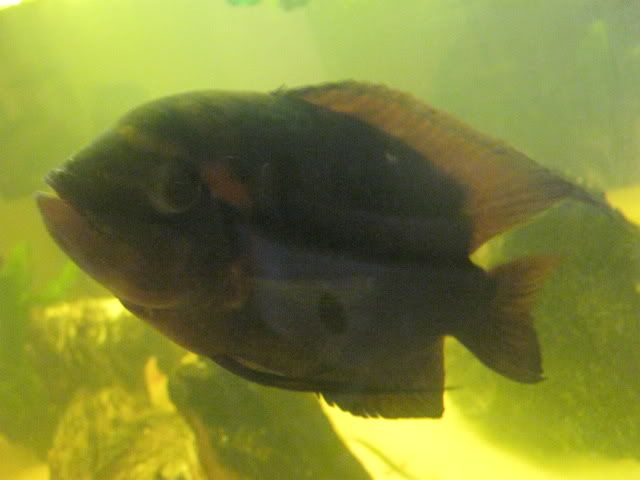 030-6.jpg