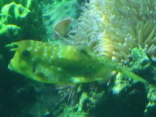 SDC12238.jpg