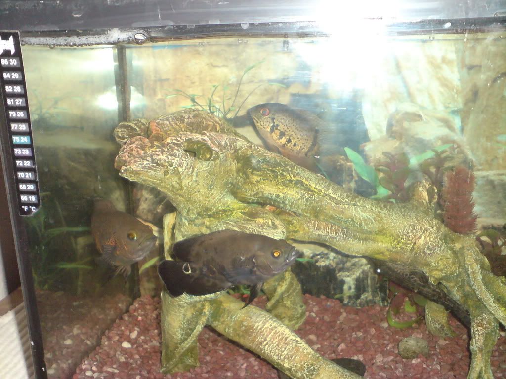 DSC01905.jpg