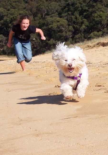 montybeachweb.jpg