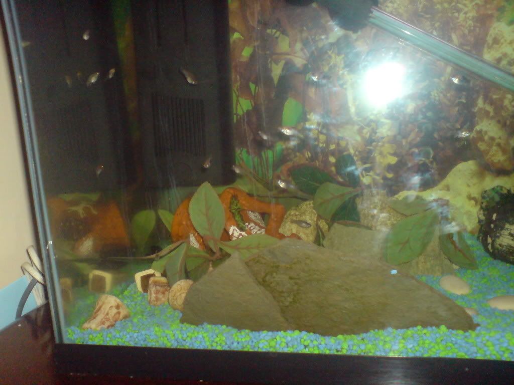 DSC01463.jpg
