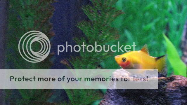 55G-048.jpg