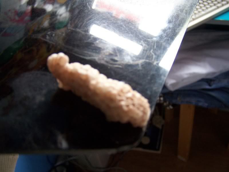 100_0786.jpg