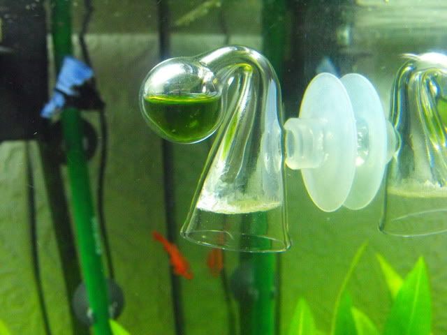 2010_0713tank0020.jpg