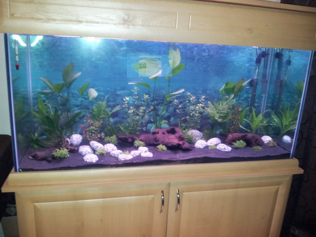 2011-11-15200705.jpg