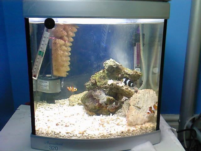 Photo-0123.jpg