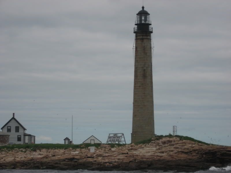 IMG_1627.jpg