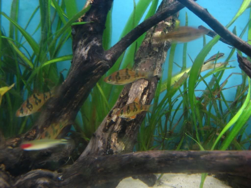 DSC02077.jpg