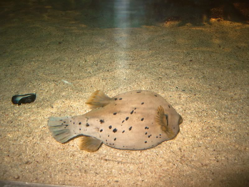 blueplanet024.jpg
