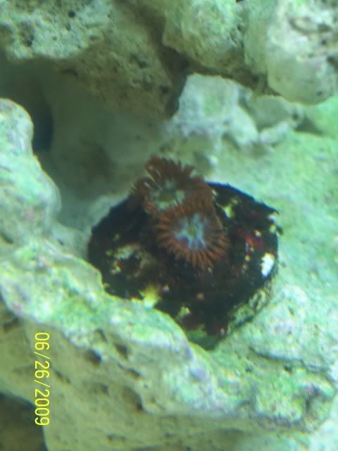 100_6960.jpg