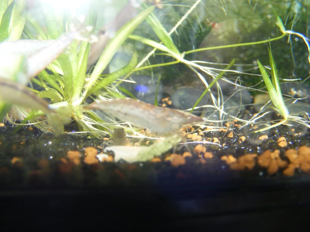 DSCF1121.jpg