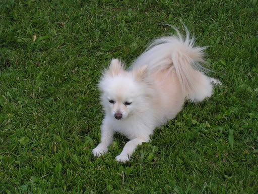 PICT0186.jpg