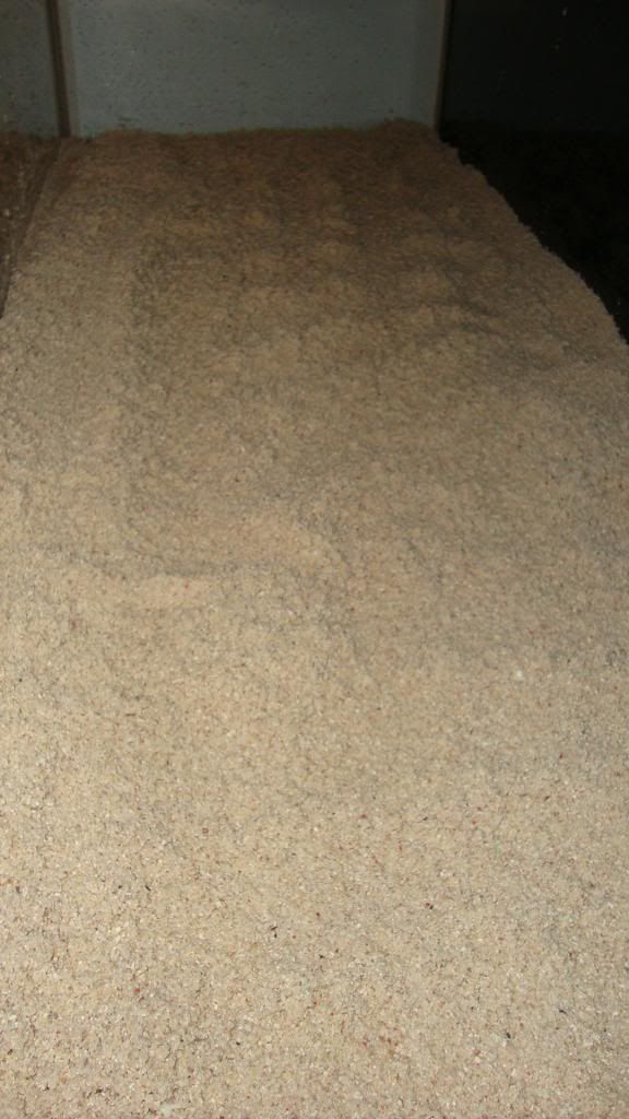 DSC03974.jpg