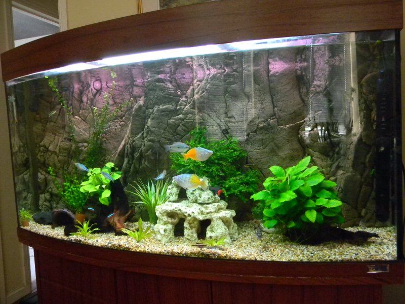 tank1.jpg