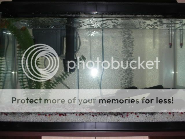 DSCN3477.jpg
