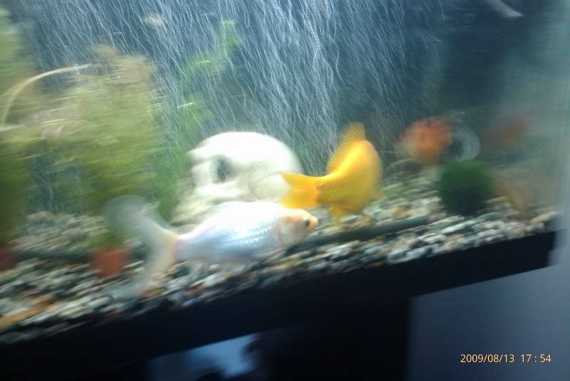 IMAG0010.jpg