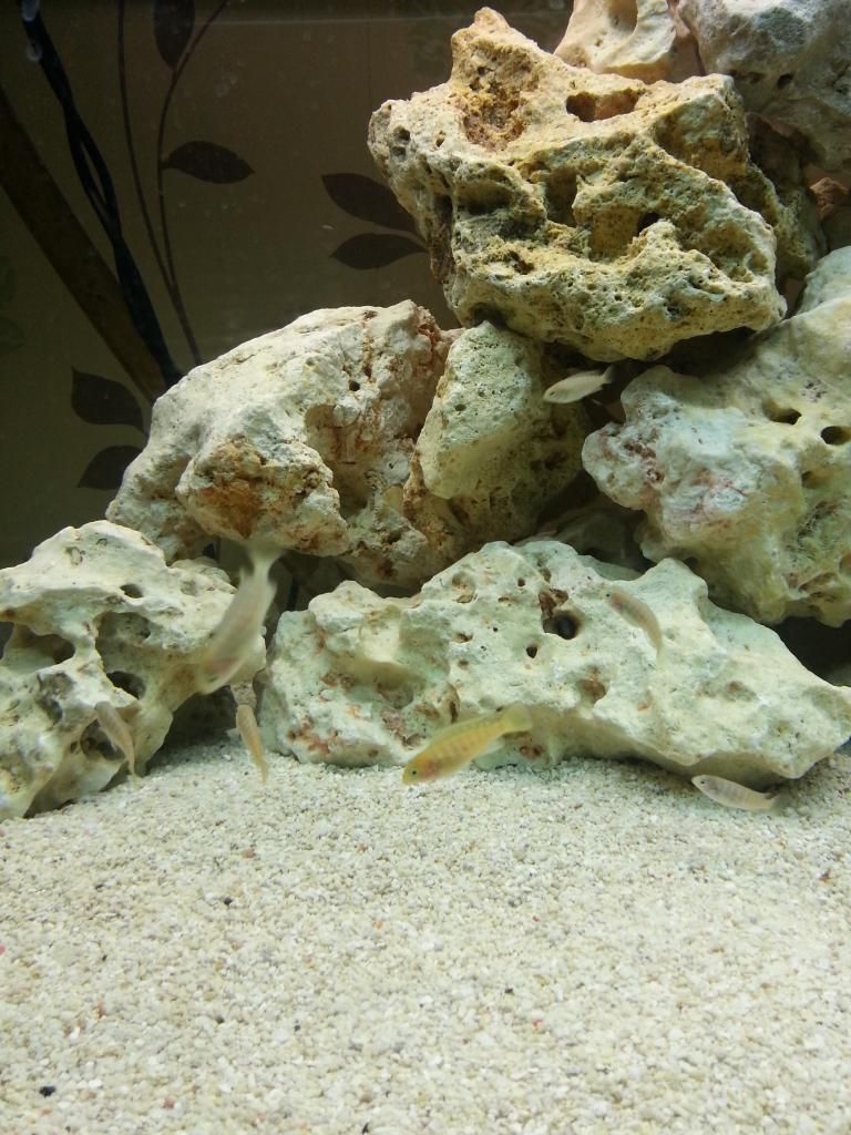 20130304_205913.jpg