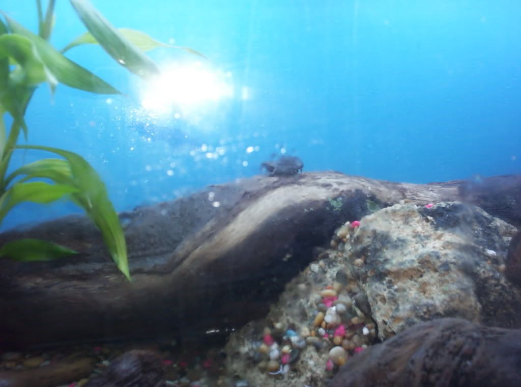 100_2088.jpg