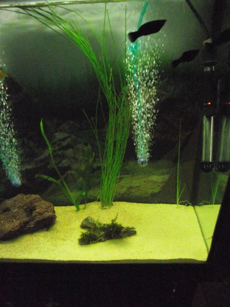 DSCF0216.jpg