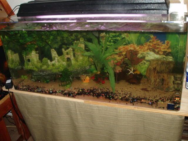 coryAtlantistank010b.jpg