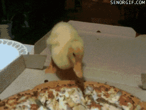 eajcw.gif