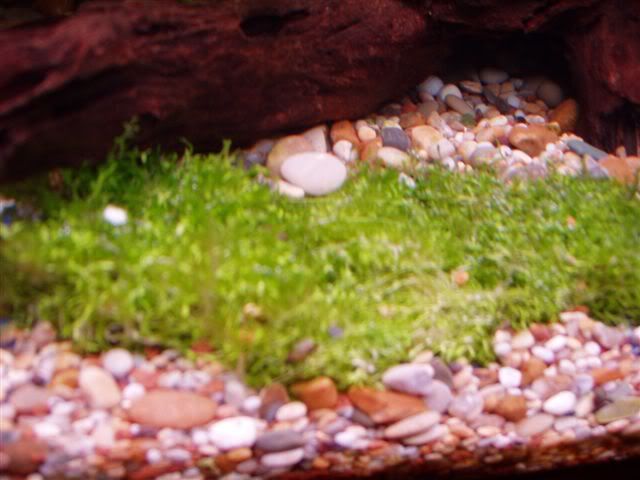 P1010022.jpg