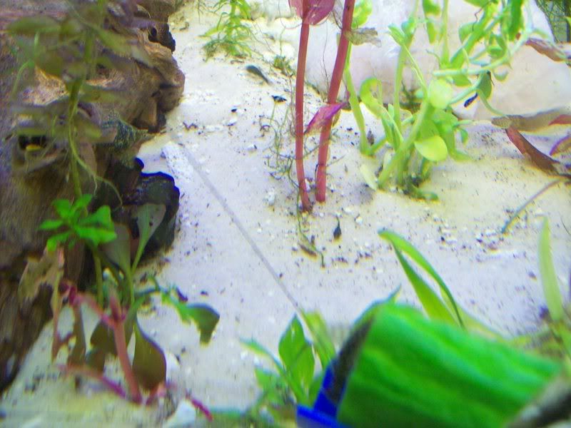 100_0373.jpg