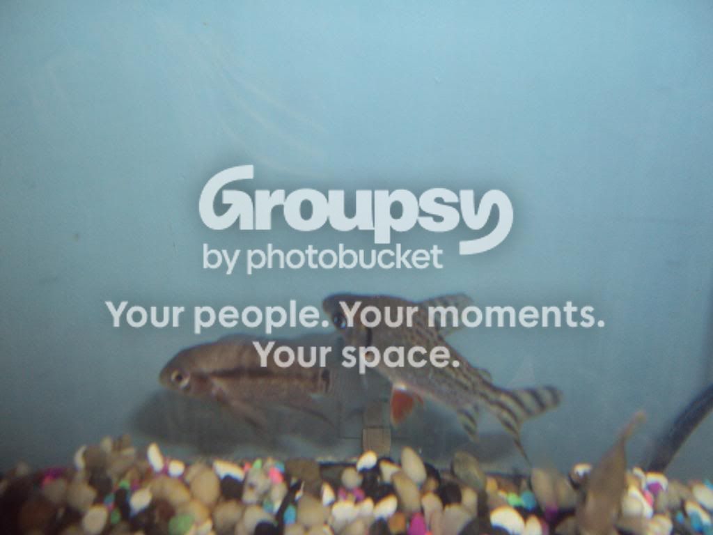 Familypicsandgradation099.jpg