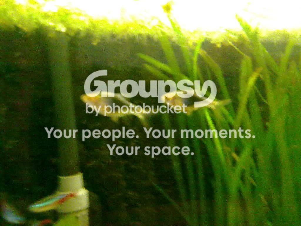 01082009081.jpg
