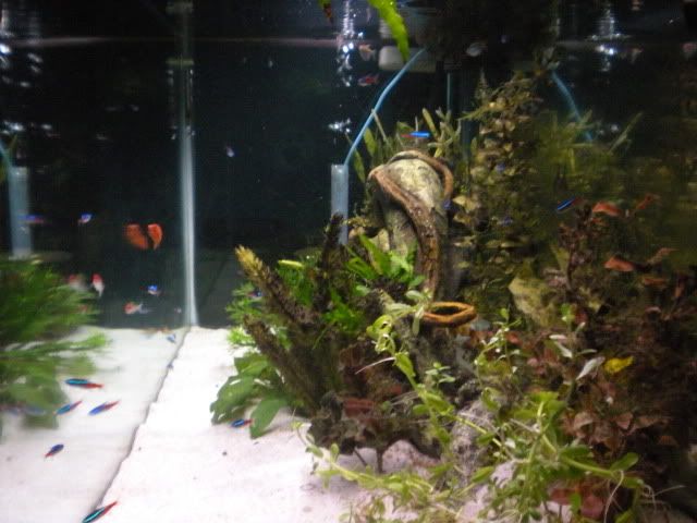 DSCN1968.jpg