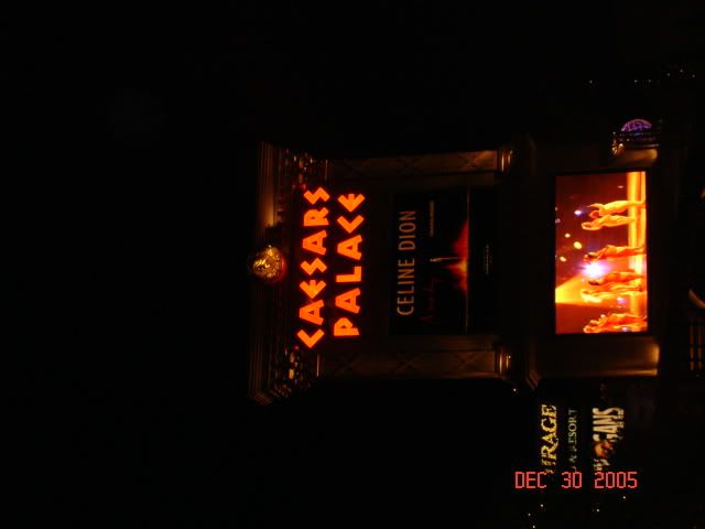 DSC03345.jpg