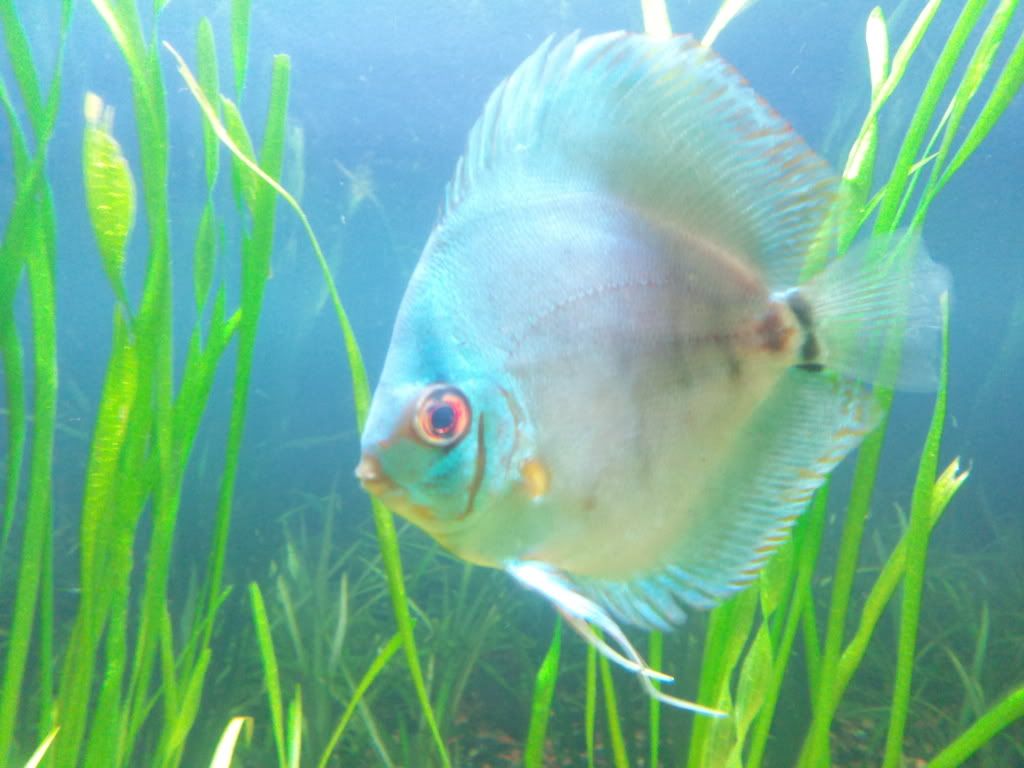 2012-02-29192248.jpg