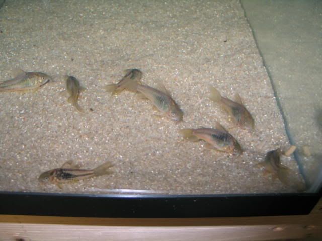 c089-group-2.jpg