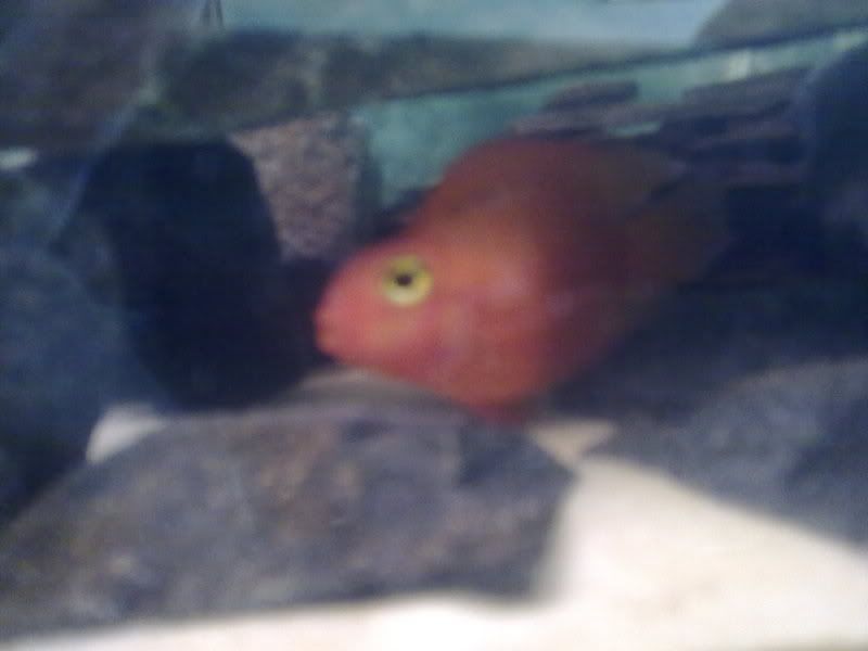 07032010079.jpg