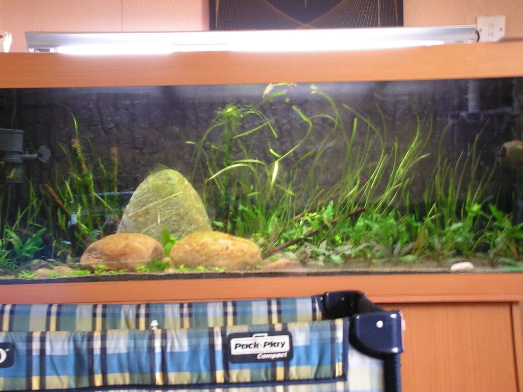 PICT1391.jpg