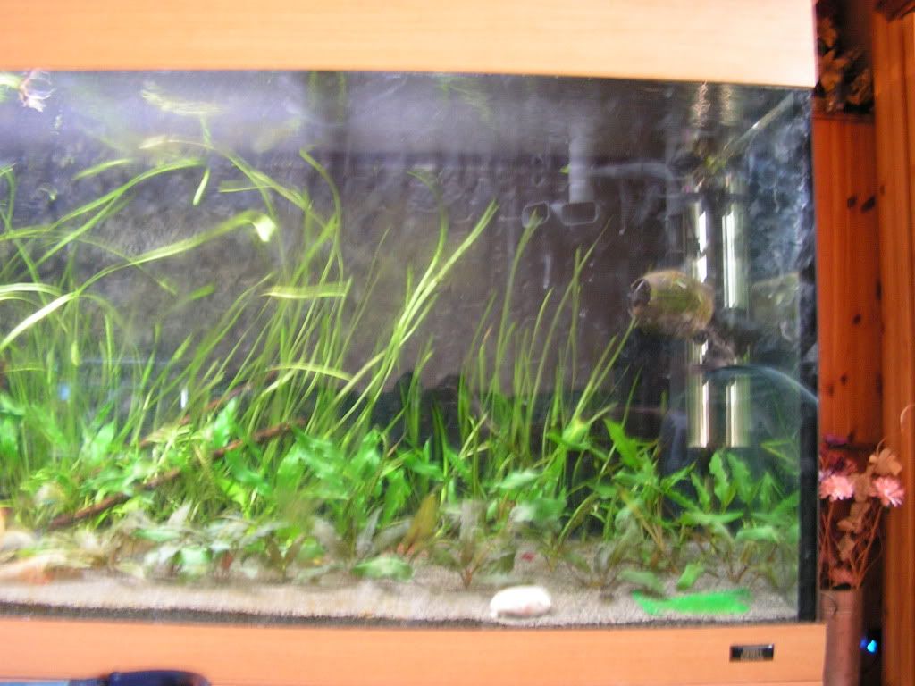 PICT1393.jpg