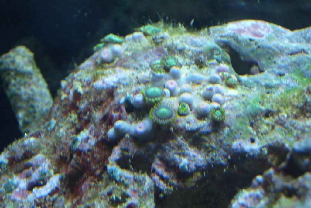 CIMG6578.jpg