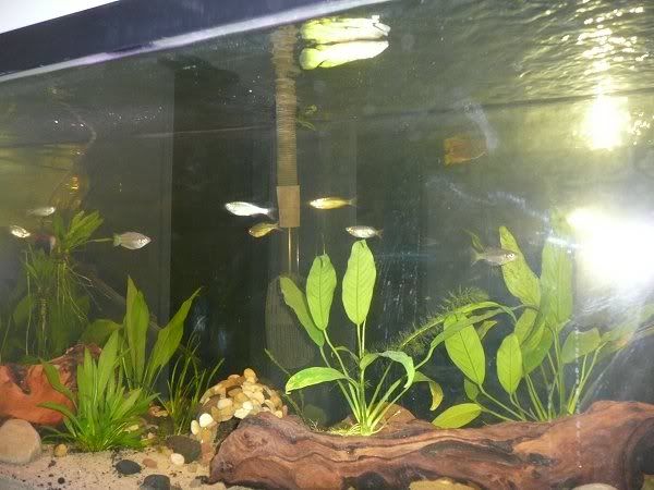 4-29-11.jpg