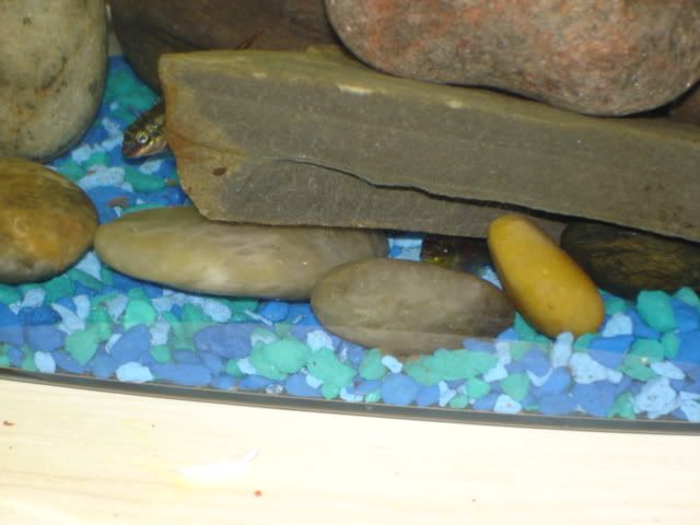DSC02558.jpg