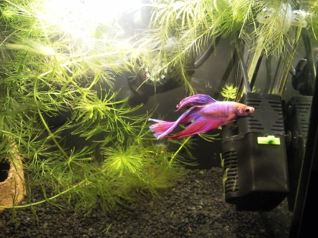 2011-11-03210605.jpg