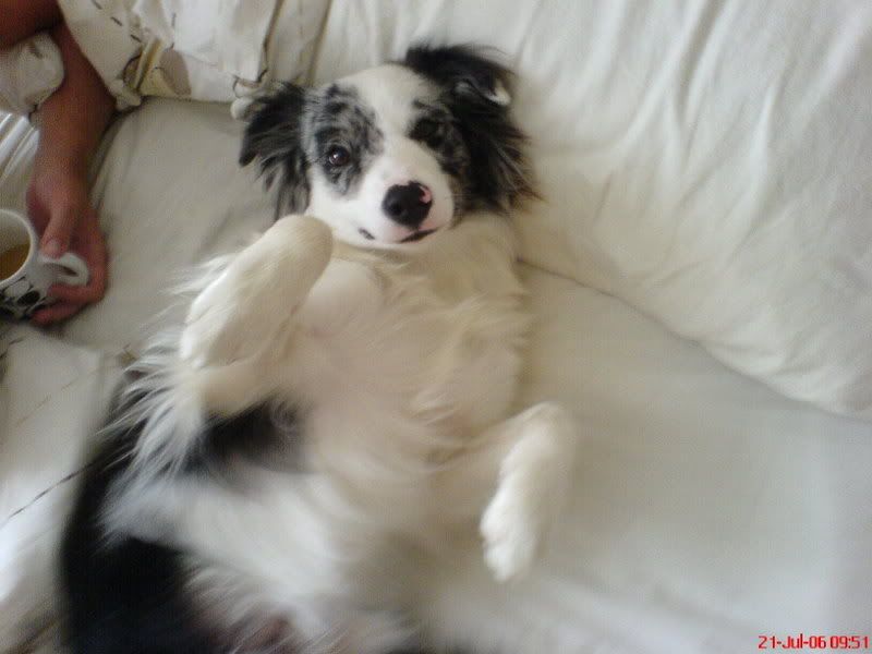DSC00012.jpg