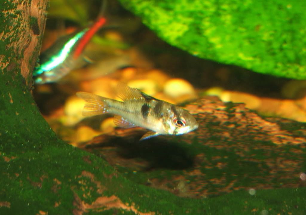 DSCF6510.jpg