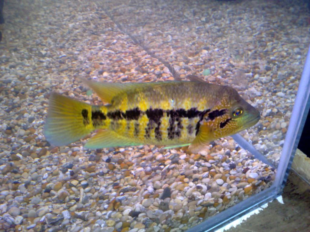 23052009363.jpg