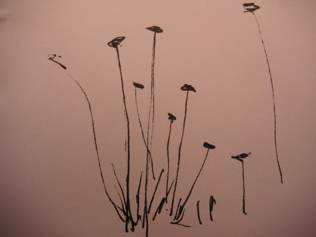 PICT0773.jpg
