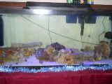 DSCN0134.jpg