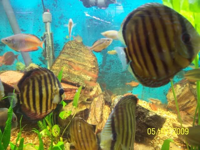 100_6154.jpg