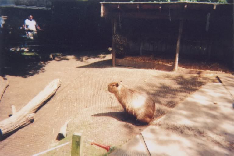 lomo3.jpg