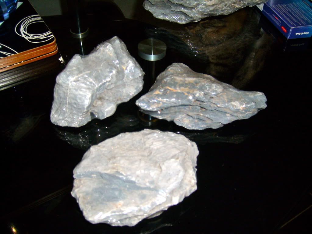 SL730035.jpg